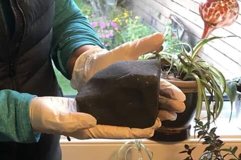 Meteorito, Ruth Hamilton