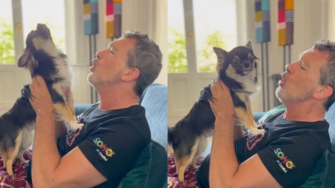 Antonio Banderas presume el talento de su perrito Gypsy: “Se ha criado entre cantantes”