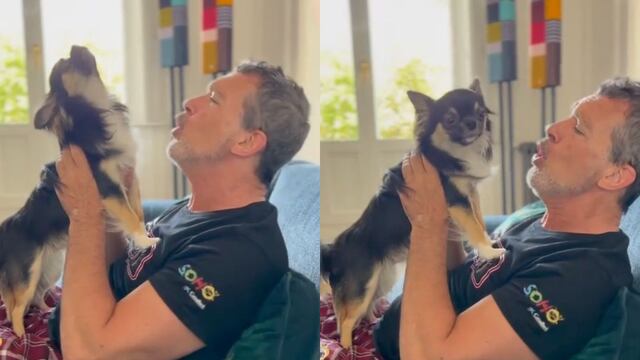 Antonio Banderas con su perrito Gypsy