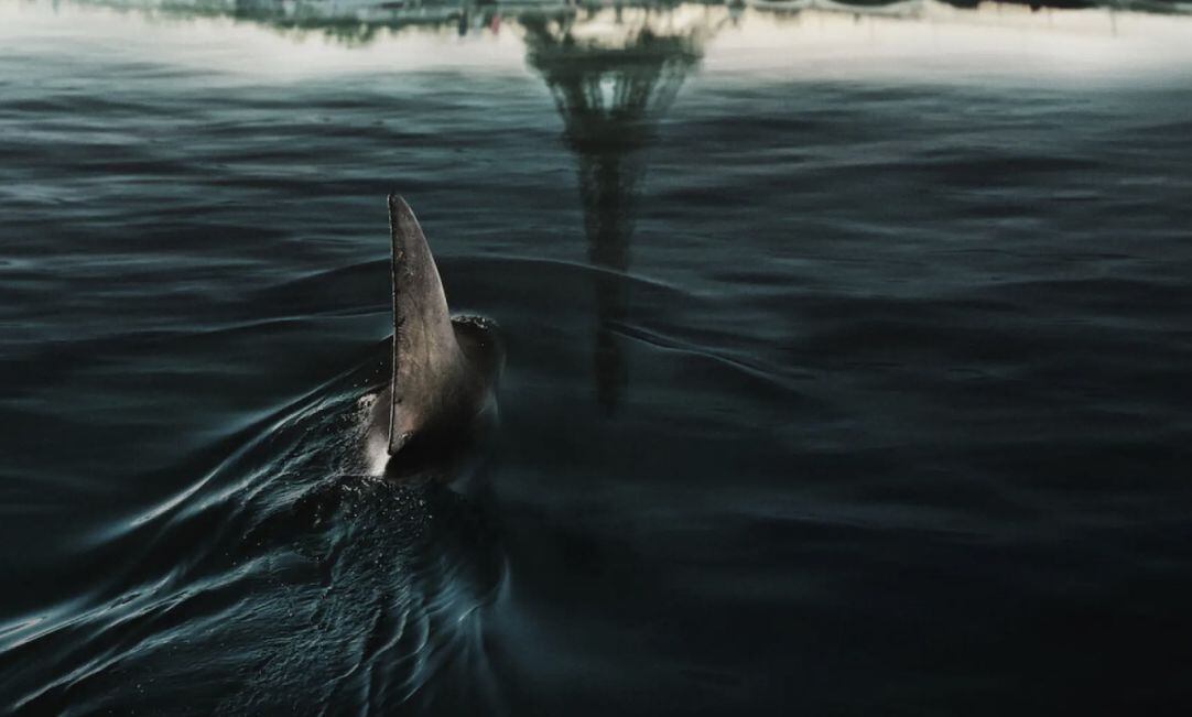 En las profundidades del Sena