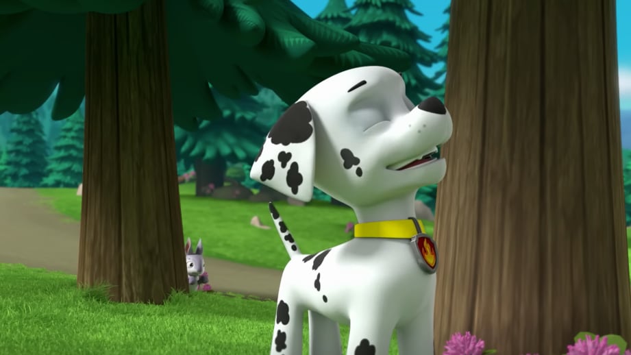 Paw Patrol por Día de Darwin