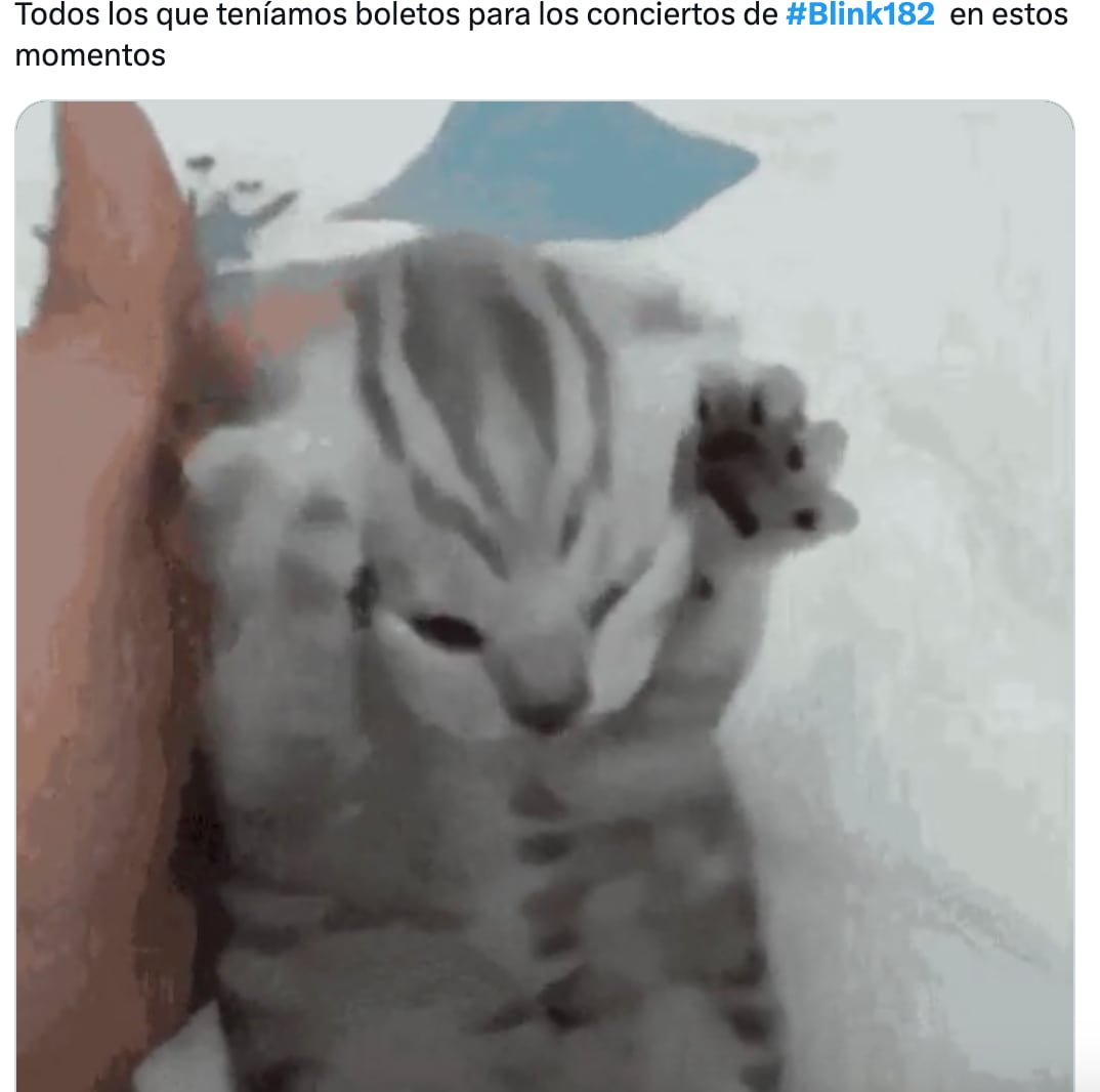 Memes de la cancelación de los conciertos de Blink 182