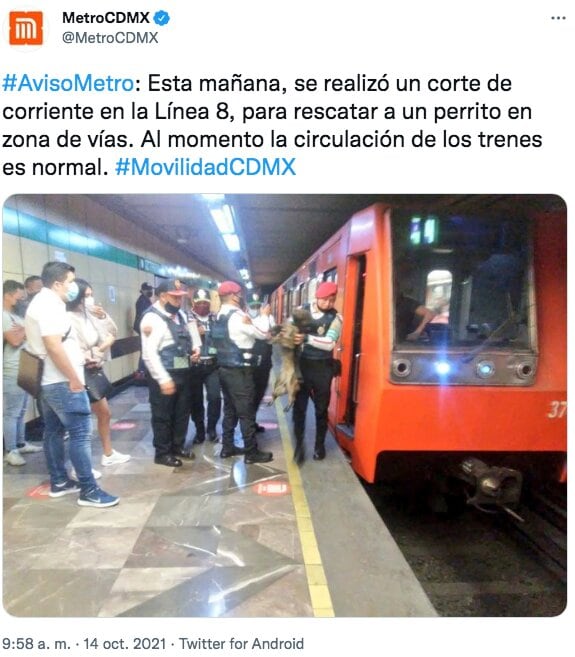 Tuit del Metro