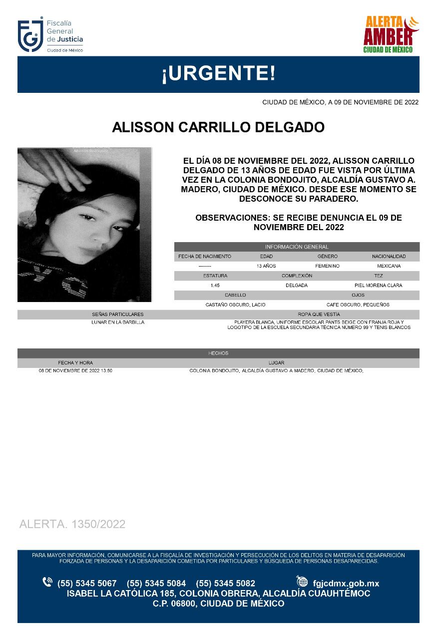Ficha de búsqueda de Alisson Carrillo Delgado