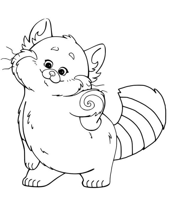 Dibujos de panda rojo para colorear