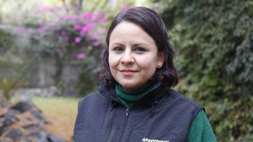 ¿Quién es Aleira Lara Galicia? Directora de Greenpeace México