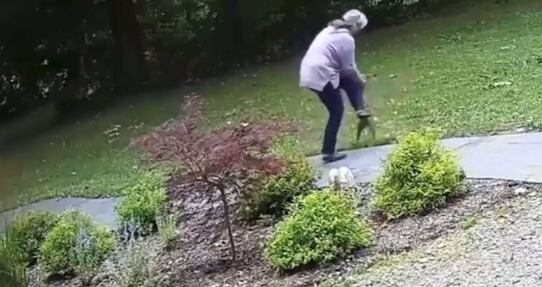 Mujer pelea con zorro