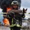 Valiente bombero rescata a perrito de explosión en toma clandestina de Amozoc, Puebla