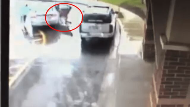 El video del momento.