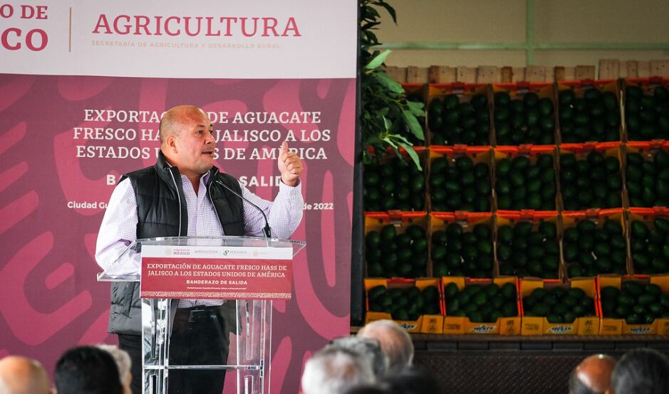 Enrique Alfaro encabeza banderazo de salida de exportación de aguacates a Estados Unidos
