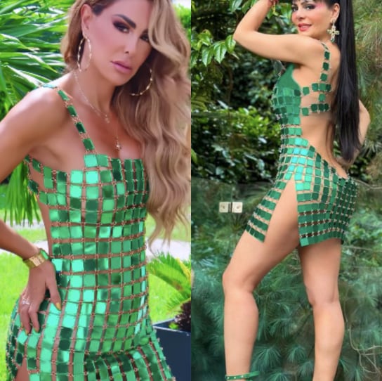 Ninel Conde / Maribel Guardia