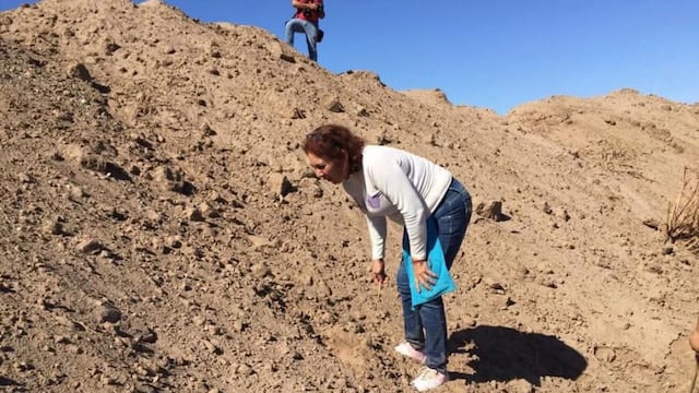 Alma Rosa Rojo lleva 17 años buscando a sus hermano Miguel Ángel Rojo Medina.