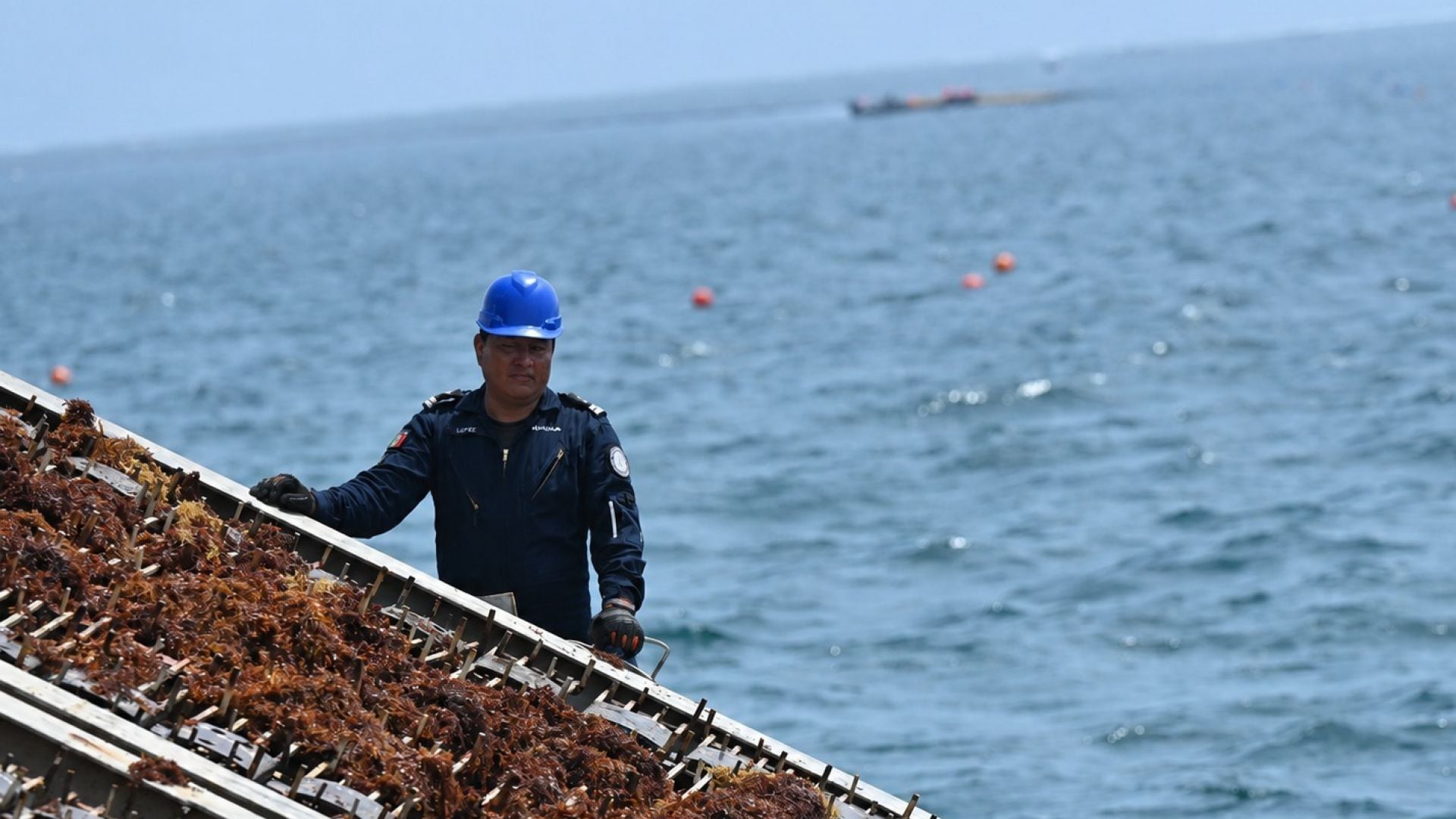 Caribe y Europa llaman a construir un mercado del sargazo