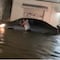 ¿Qué pasó en Playa del Carmen? Fuertes lluvias causaron inundaciones