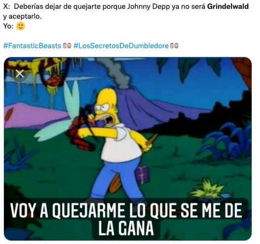 Memes de Mads Mikkelsen y Johnny Depp