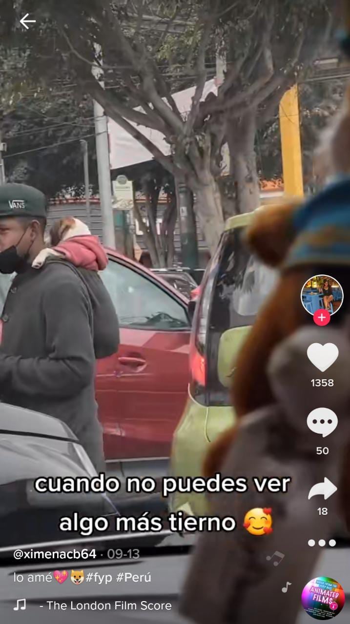 Joven carga a su perrito