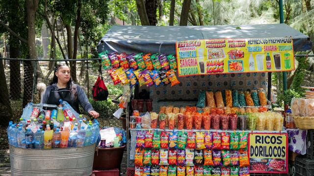 Vendedores Ambulantes