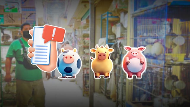 Mercado Sonora seguiría vendiendo animales