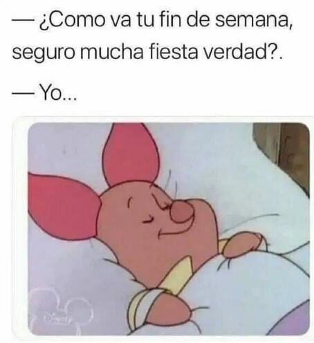 Memes del puente y la quincena.