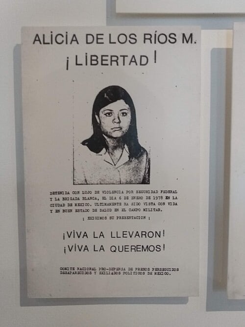 Boletín sobre la desaparición de Alicia de los Ríos Merino.