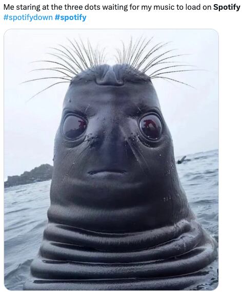 Estos son los memes por la caída de Spotify