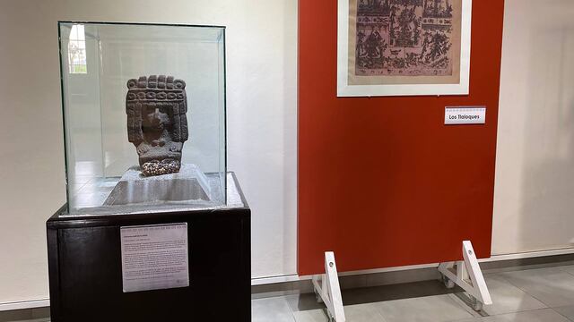 Hidalgo celebra el Día Internacional de los Museos