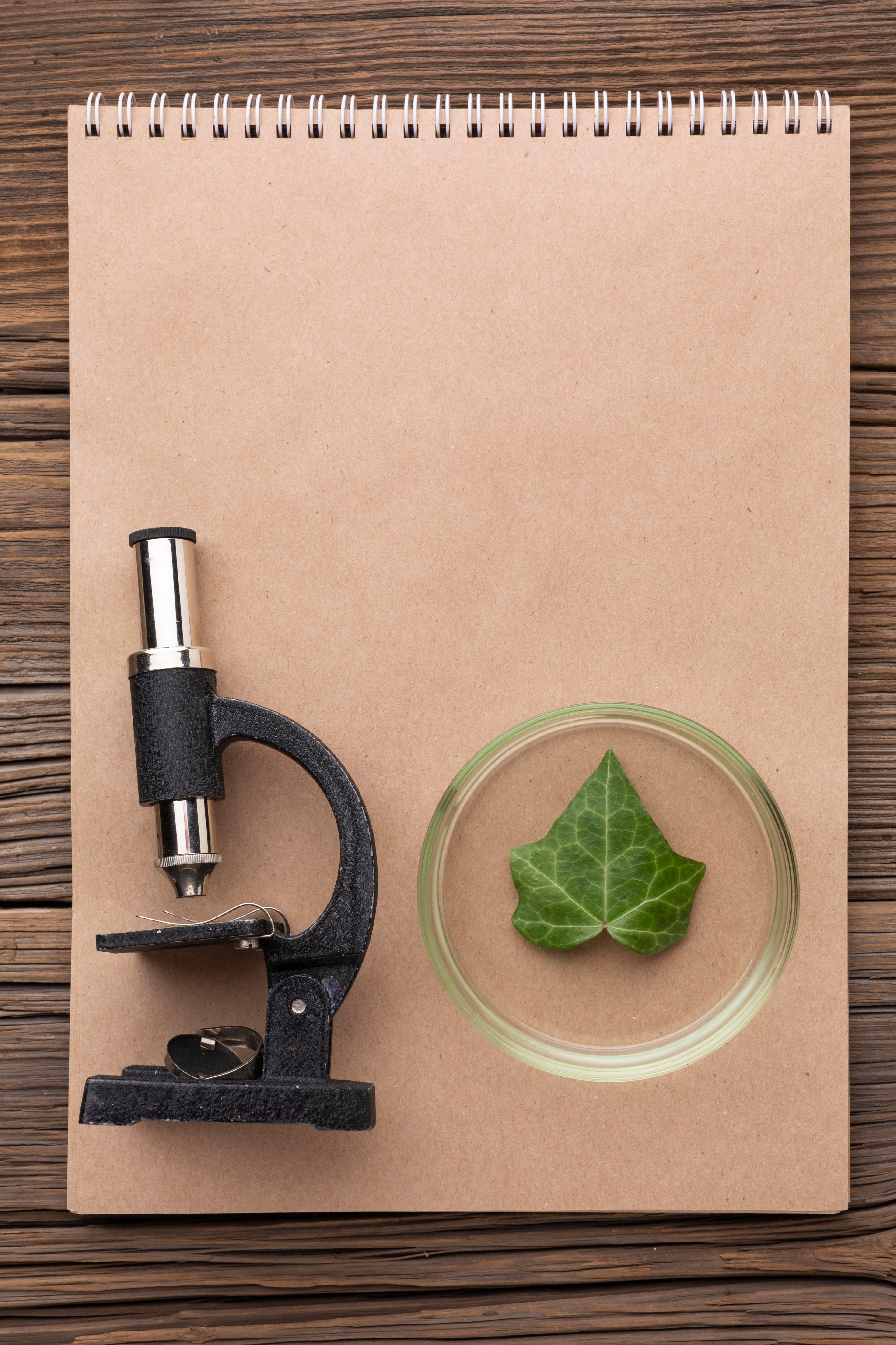 Día del Biólogo en México