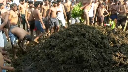 ¿Qué es el Gorehabba de India? El Festival de Caca de Vaca con el que soñó Luisito Comunica