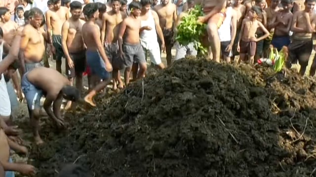 Gorehabba, el Festival de caca de vaca al que no podrá asistir Lusito Comunica