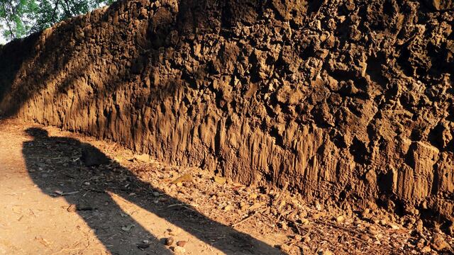 Día sin sombra México 2025