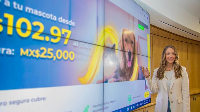 Un seguro médico para tu mascota podría ahorrarte mucho dinero