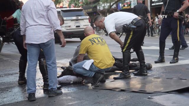 Caballo de carruaje se desmaya