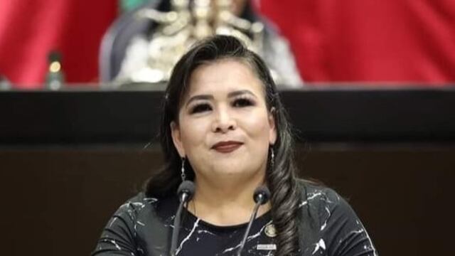 ¿Quién es Ana Elizabeth Ayala? La diputada de Morena que tiene en la mira del himno nacional a Coque Muñiz y otros famosos