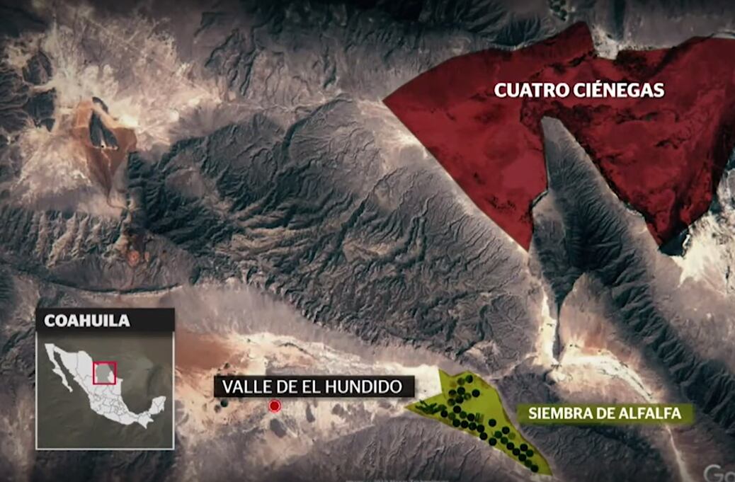 Zonas donde se siembra alfalfa.