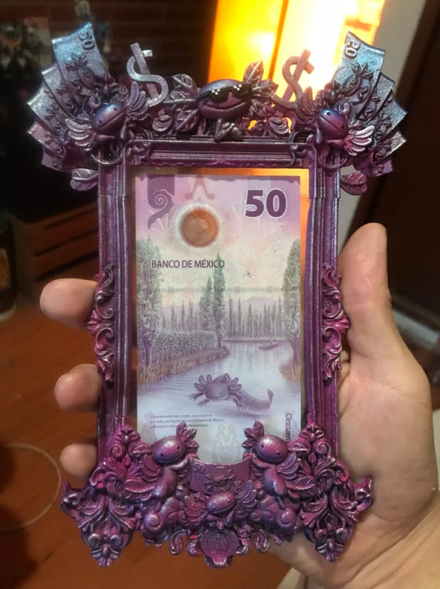 Marco para billetes con ajolotes