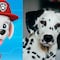 ¿Cómo son los perros dálmata? 6 características que definen a Marshall, cachorro de Paw Patrol