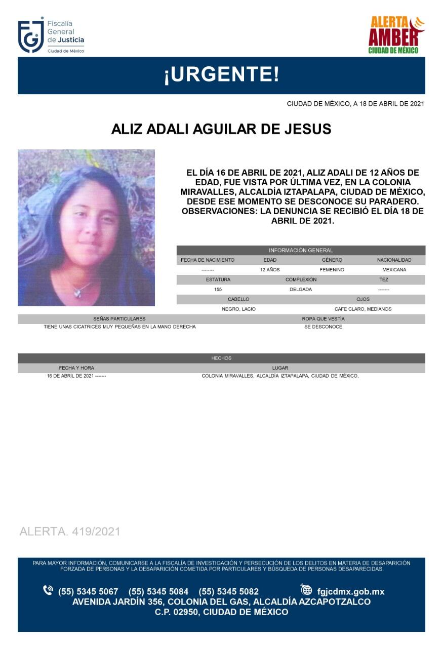 Ficha de búsqueda de Aliz