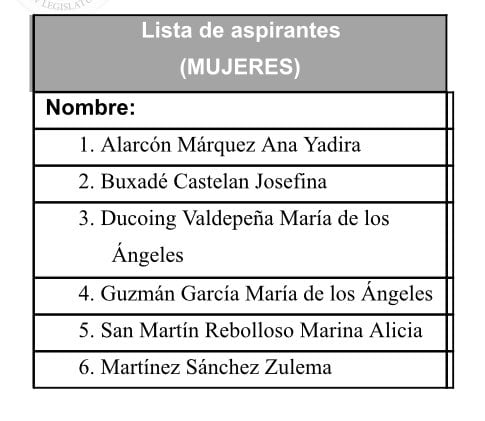lista de candidatos a un cargo de comisionado en el Inai/@letroblesrosa