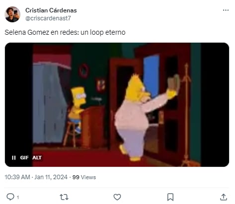 Memes por el retiro de Selena Gómez de redes sociales