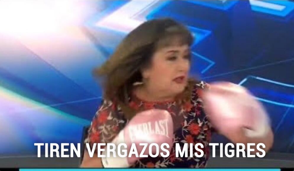 Memes Final Club Chivas vs Club Tigres