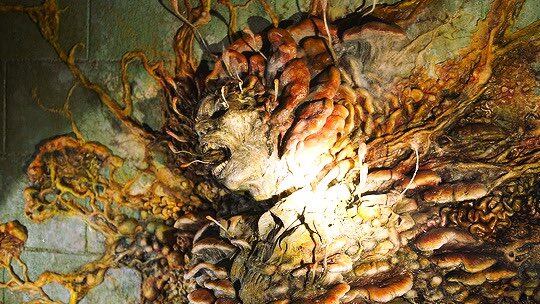 Google lanza animación de The Last of Us con el hongo Cordyceps
