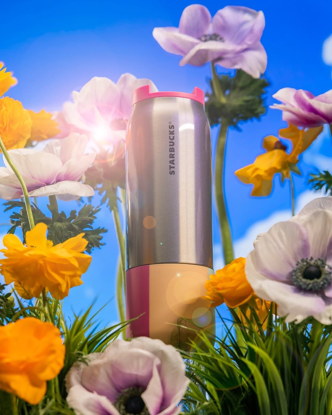 Vasos y termos de Starbucks: Colección primavera 2025
