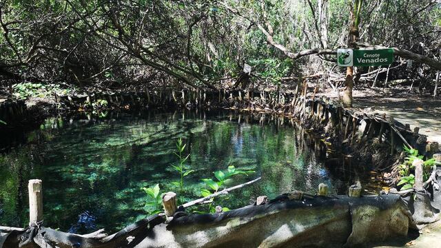 Cenote Mérida