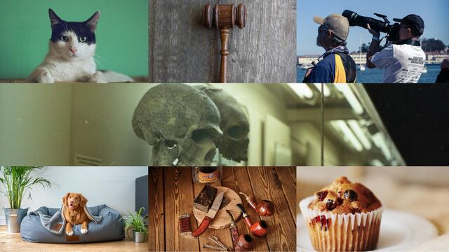 Efemérides del 20 de febrero