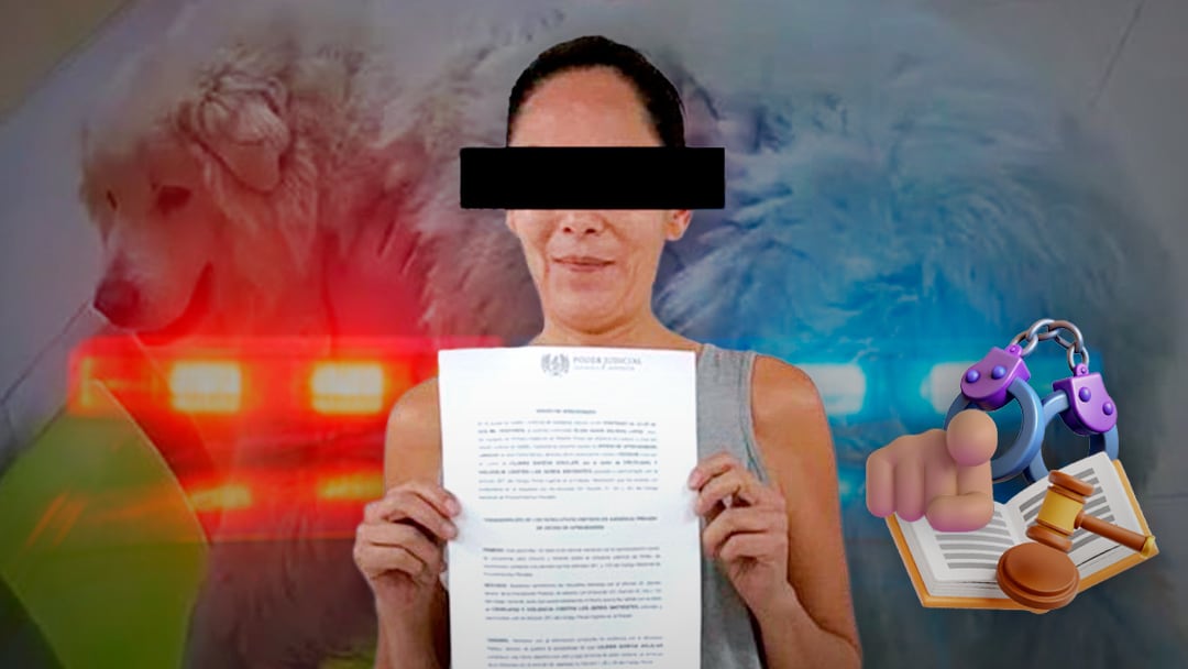 Liliana 'N' es detenido por matar a su perro Rocky.