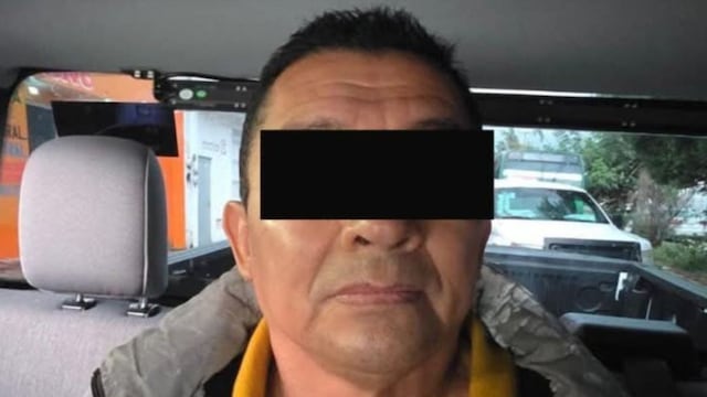 Audiencia de Rafael León Segovia