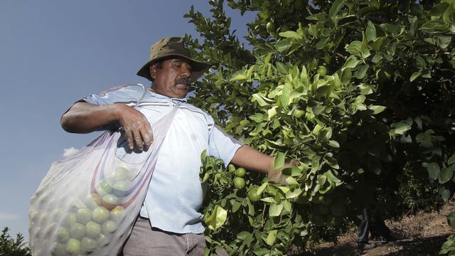 FOTO: ARCHIVO / ANDRES YAÑEZ /CUARTOSCURO
