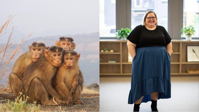 Este 14 de diciembre es el Día Mundial del Mono y el Día Nacional de la Persona Obesa, pero no en México