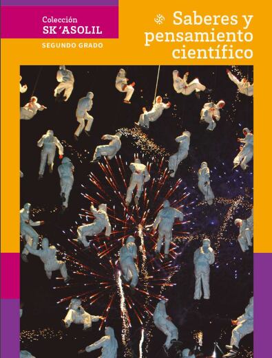 Libro Saberes y pensamiento científico para segundo grado