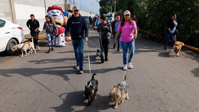 Elizabeth Terrazas en caminata canina en Territorio de Paz